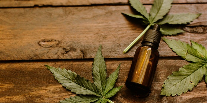 CBD Oil And Hemp Oil Know The Difference