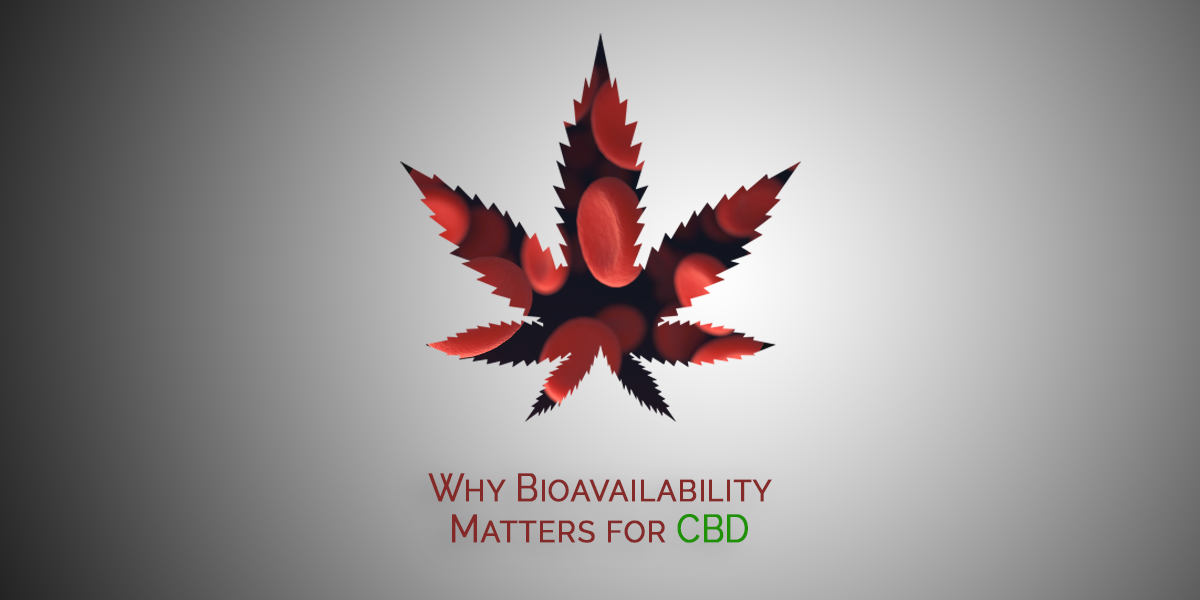 CBD Bioavailability